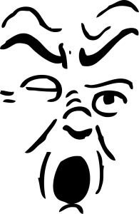 face-40058_1280